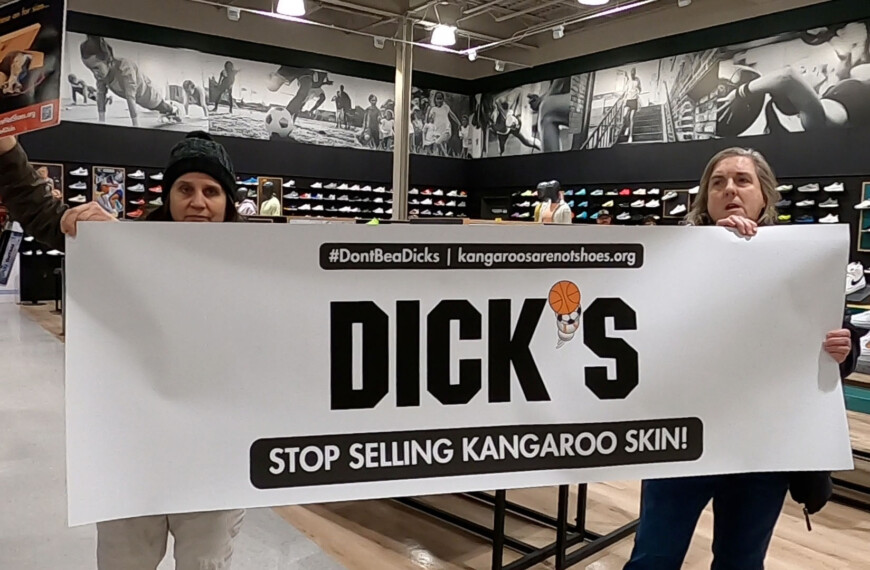 Protesters disrupt Dick’s Sporting Goods for selling shoes made from kangaroo skin